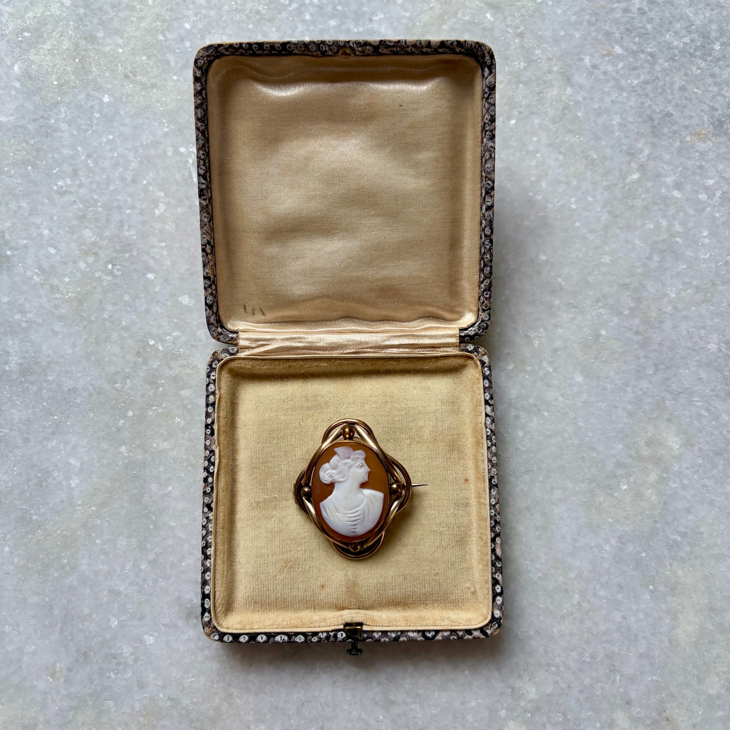 Antique Ornate Frame Shell Cameo Brooch