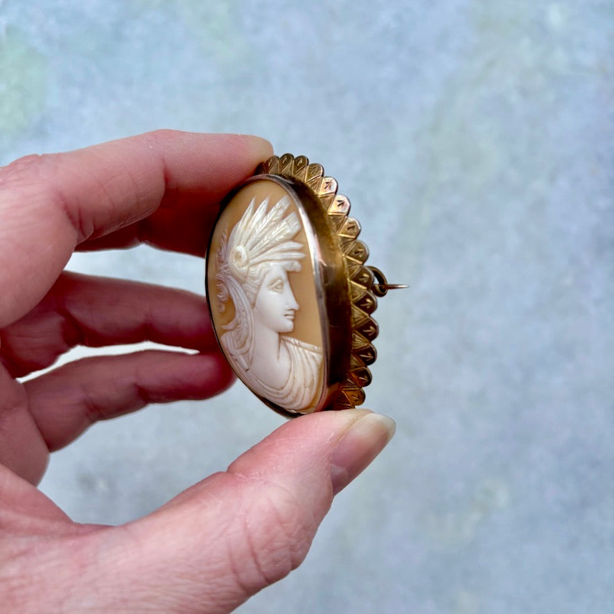 Roman Style Carved Shell Cameo Brooch