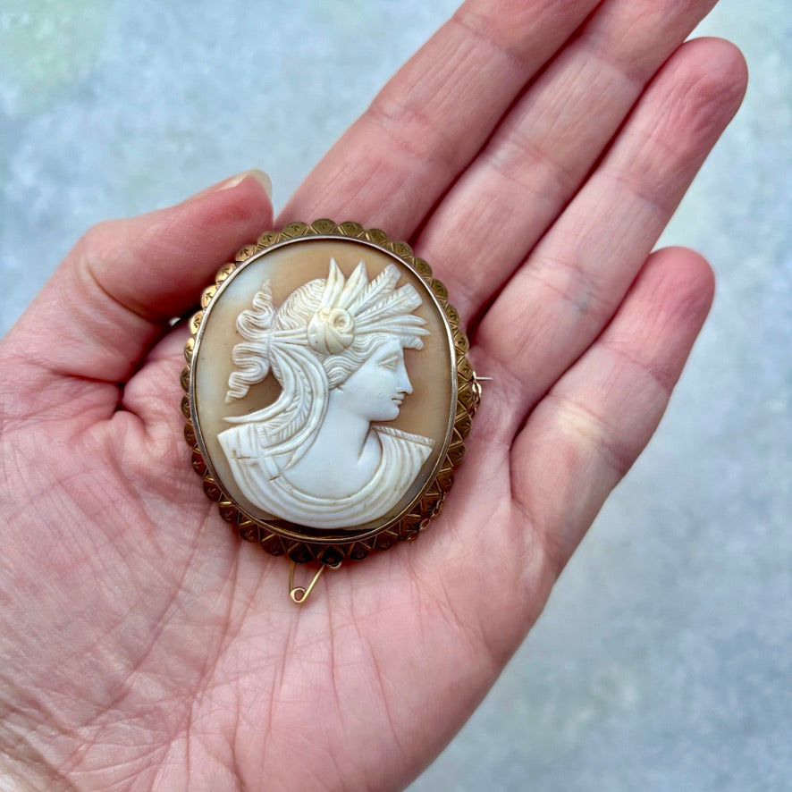 Roman Style Carved Shell Cameo Brooch